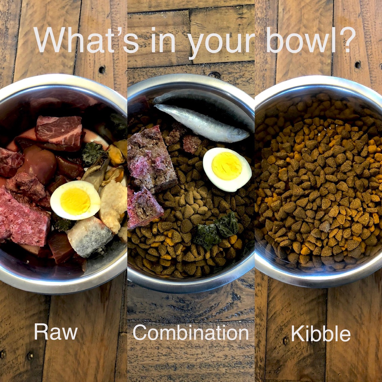 What's in Your Bowl?