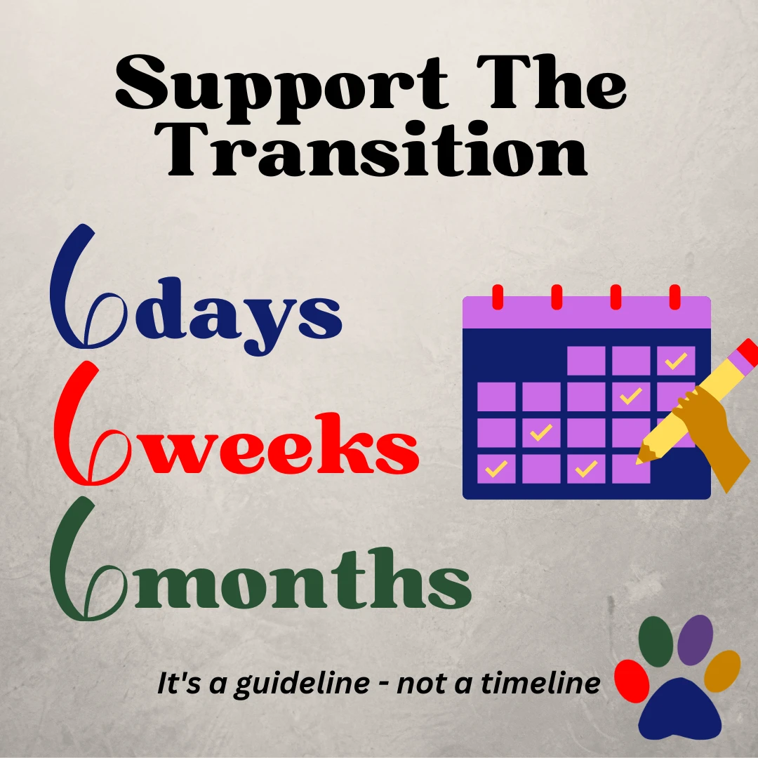Support The Transition - Six Days, Six Weeks, Six Months