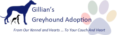Gillian's Greyhound Adoption
