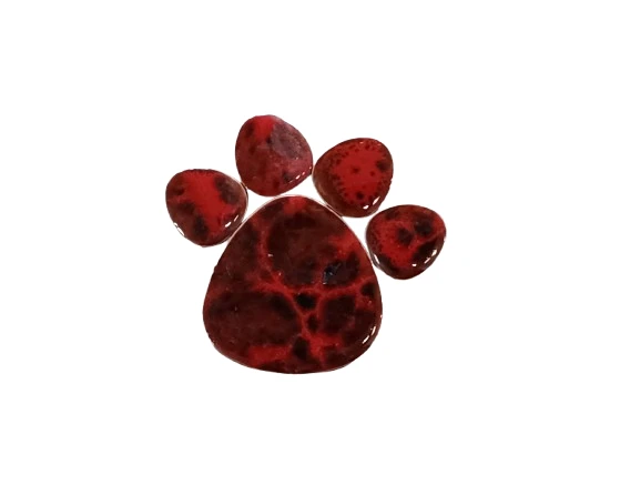 #2 1125-a10-removebg-preview-17462078267838.png