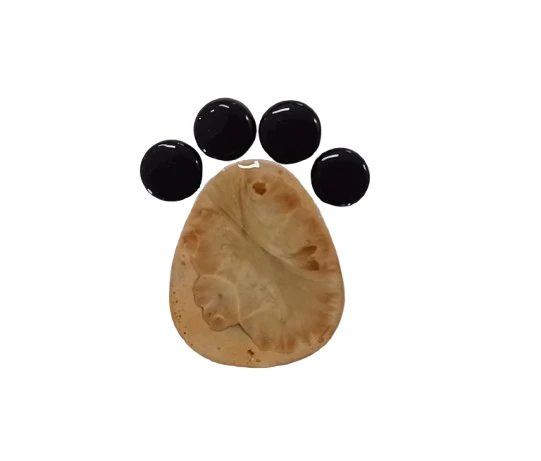 #11 1125-a3-removebg-preview-17462063931621.png