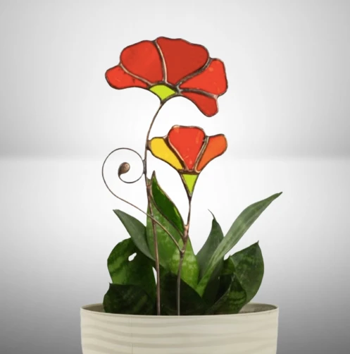 1183-a-plant-17461249559706.png