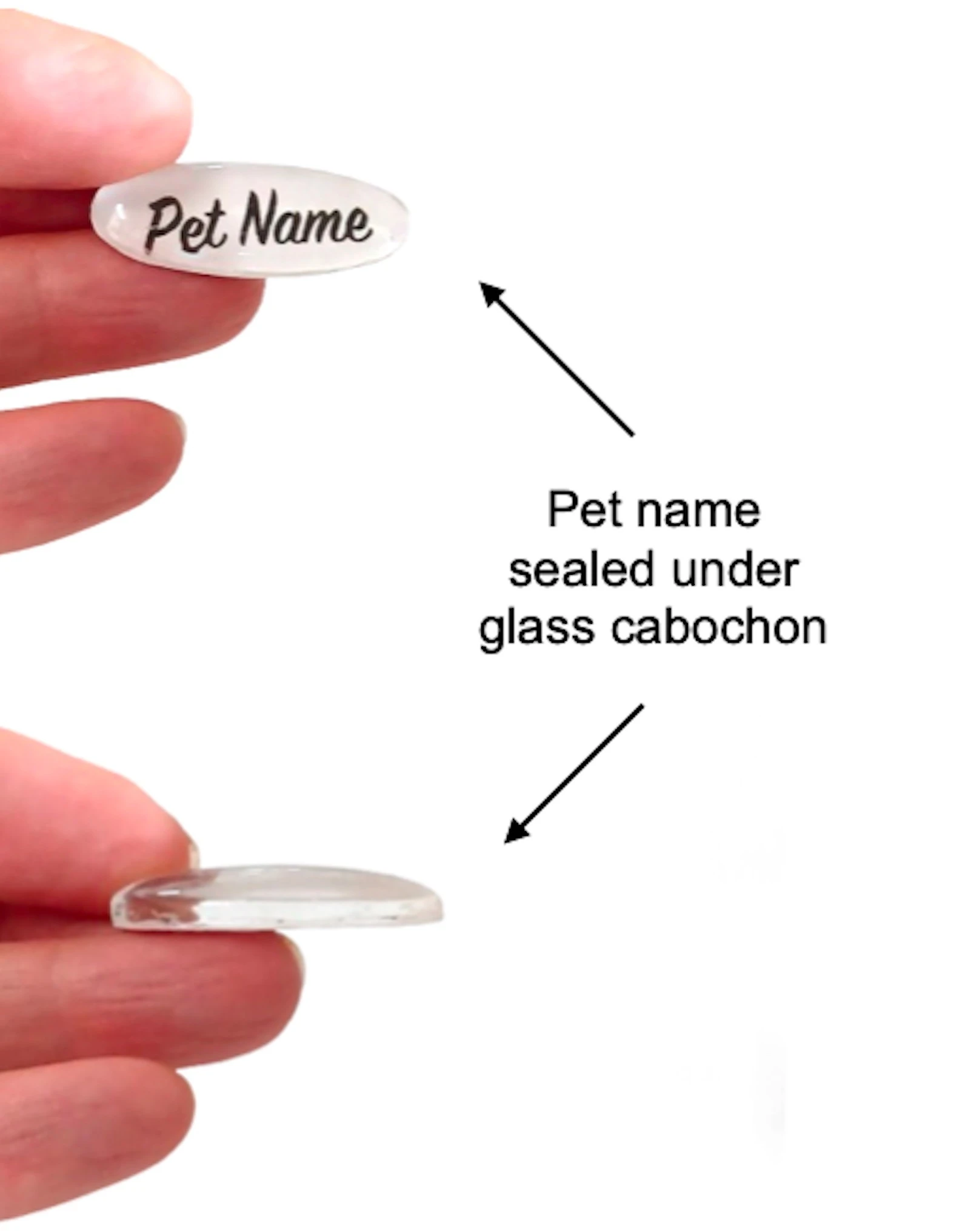 210015872034925-pet-name-cab-17427877222327.jpg