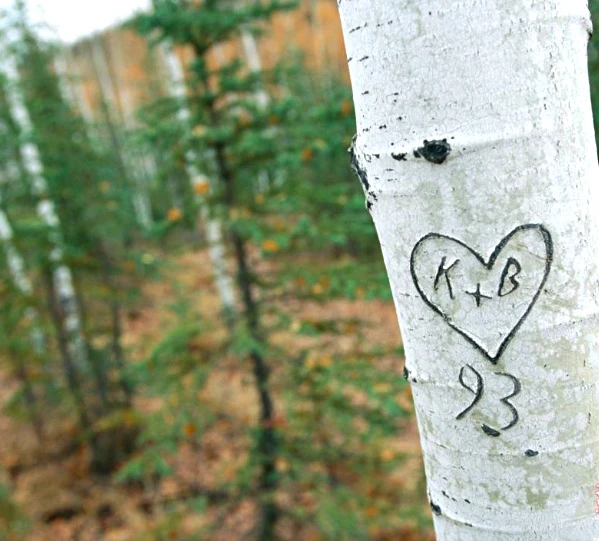 r396-a-tree.jpg