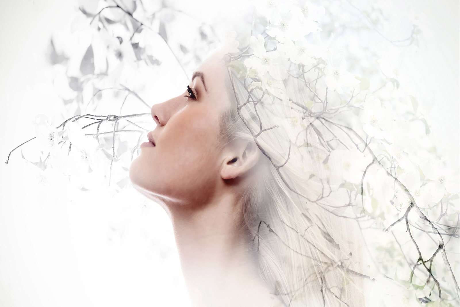 712-website-banner-silencingic.jpg
