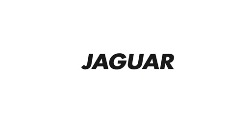 819-yaguar-17187922955458.jpg
