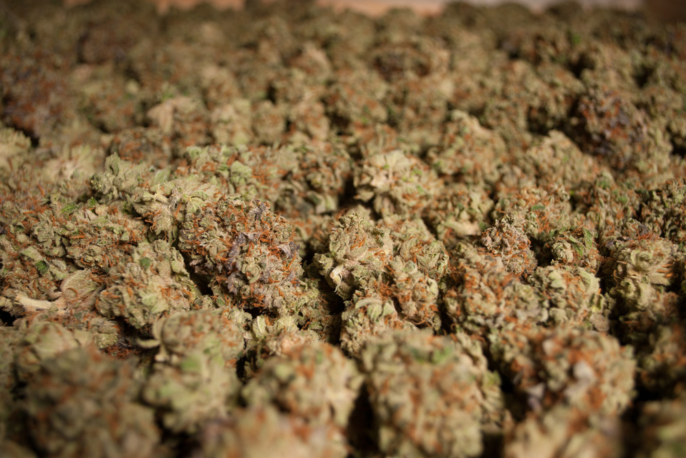 r41-close-up-of-nugs.jpg