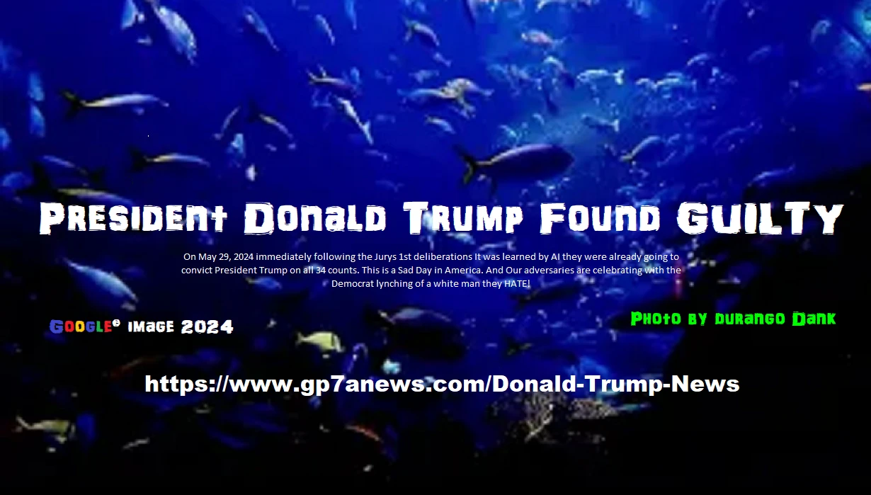 01412306992208-president-donald-trump-found-guilty-by-durango-dank---gp7a-17171609341893.png