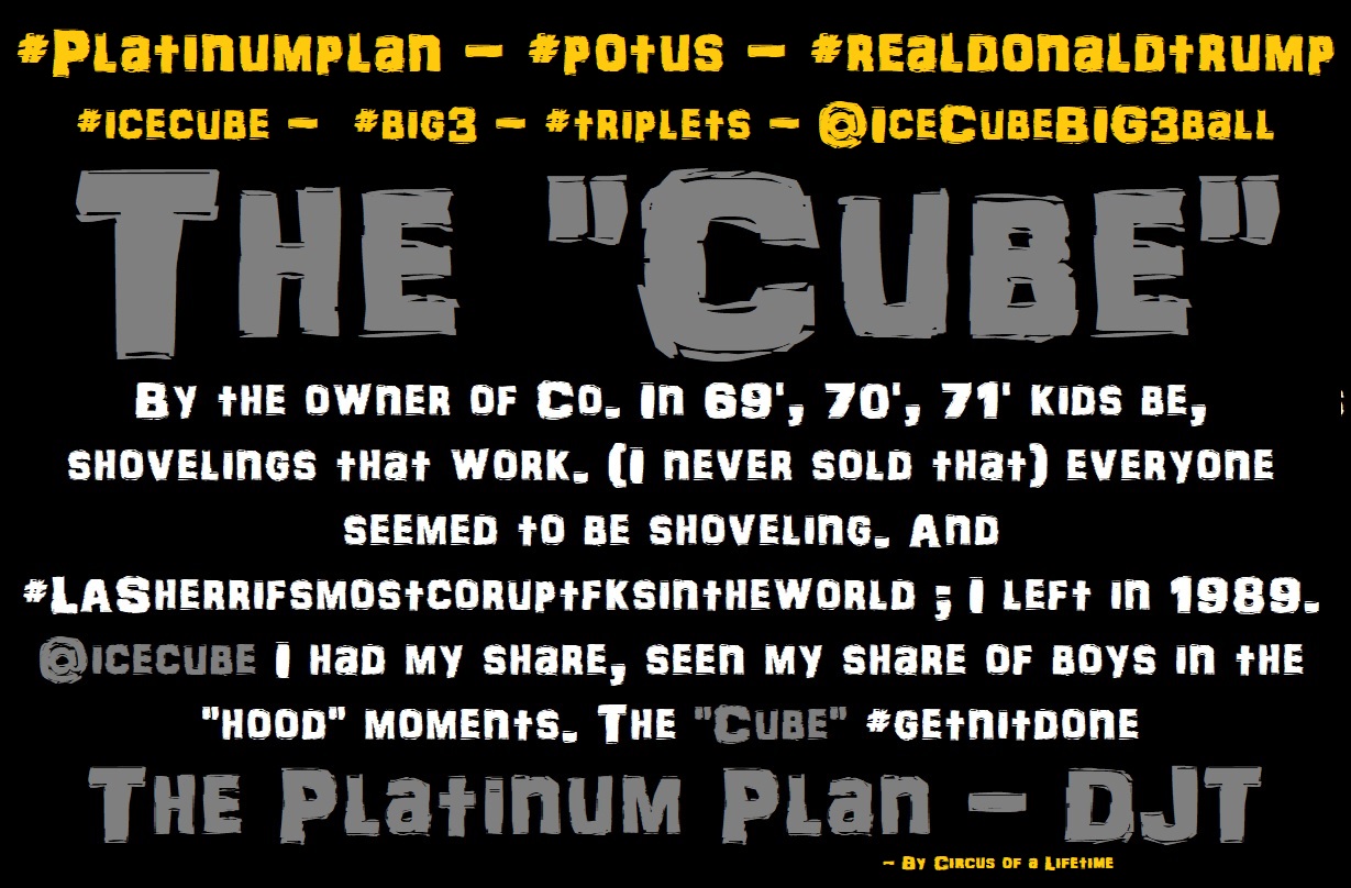 r537-icecube---ice-cube---realdonaldtrump---platinumplan-potus.jpg