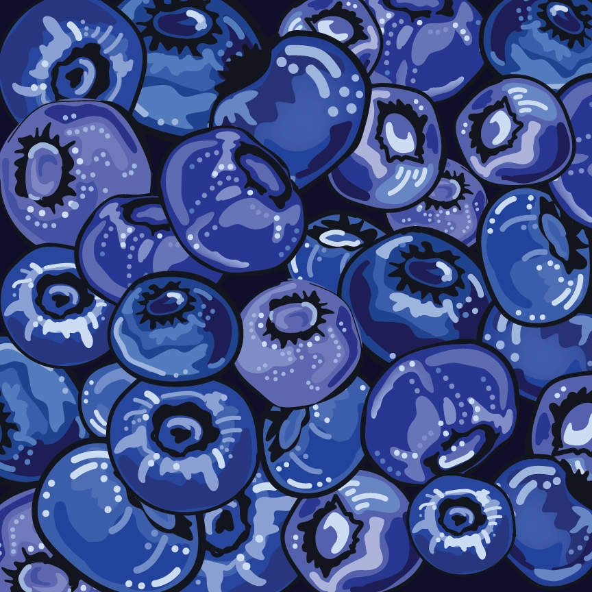 1023-blueberries-24x-8-17123375971303.png