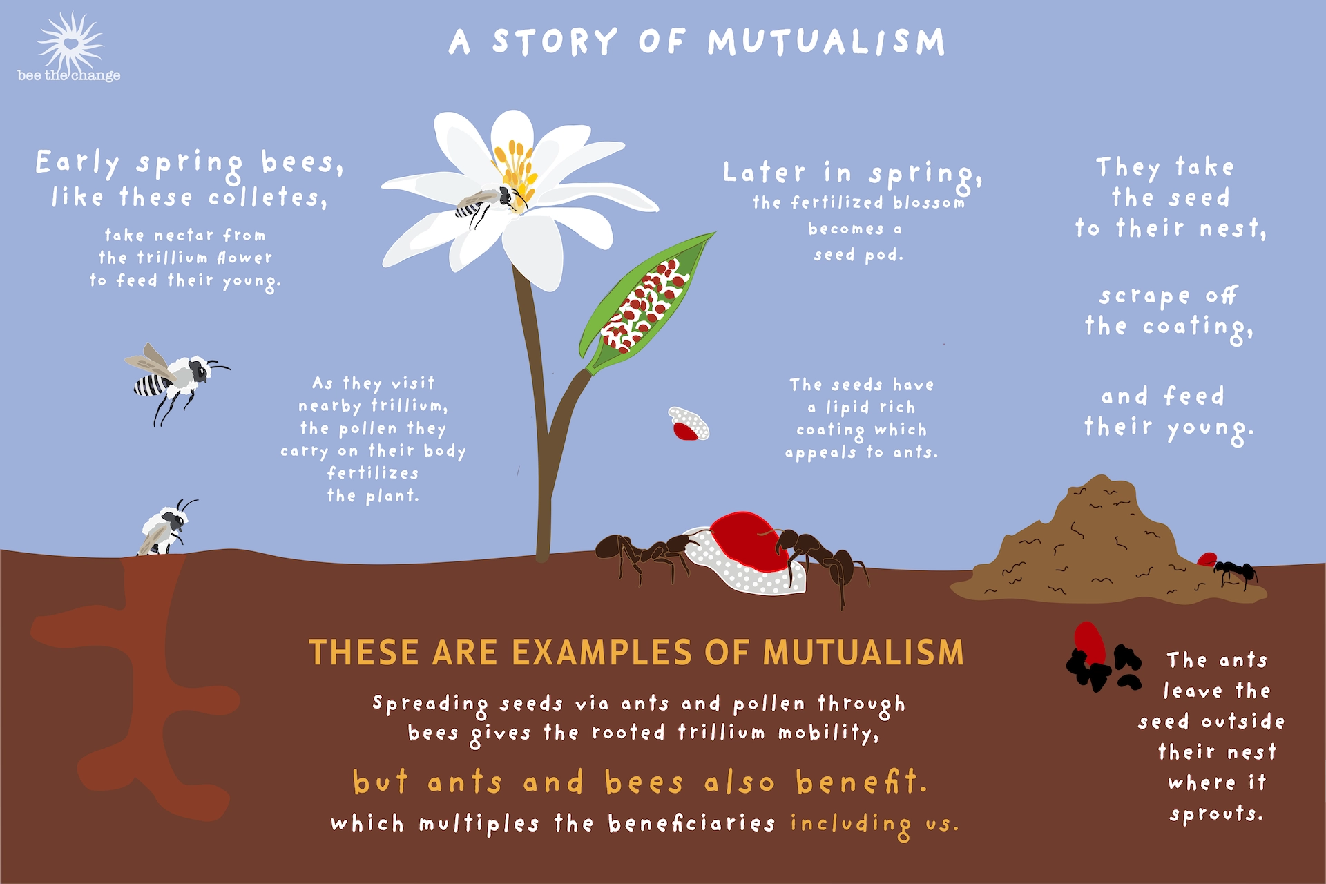 1426-mutualism4x-8-17542723875228.png
