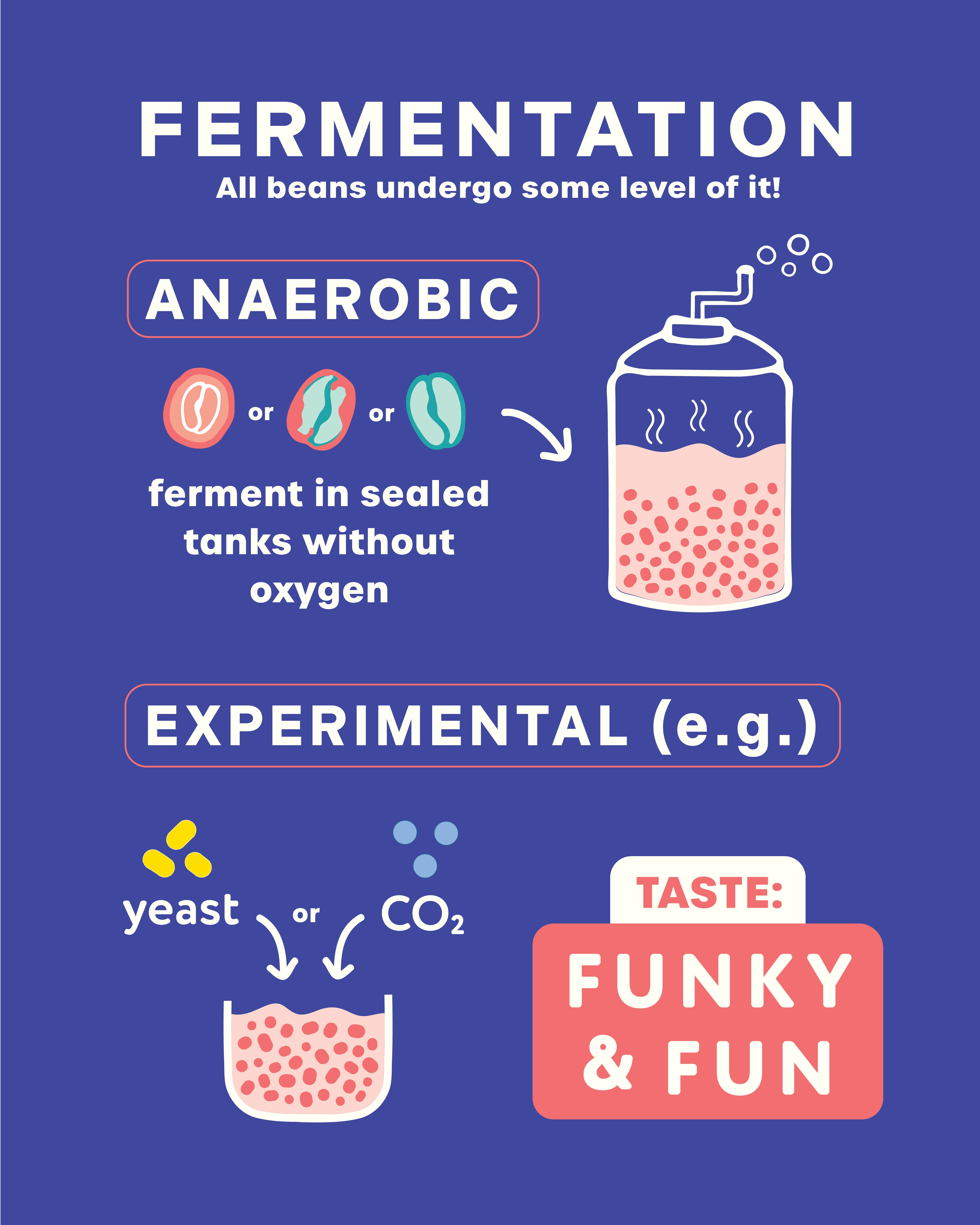 1614-fermentationpost4x-8-17564033455491.png