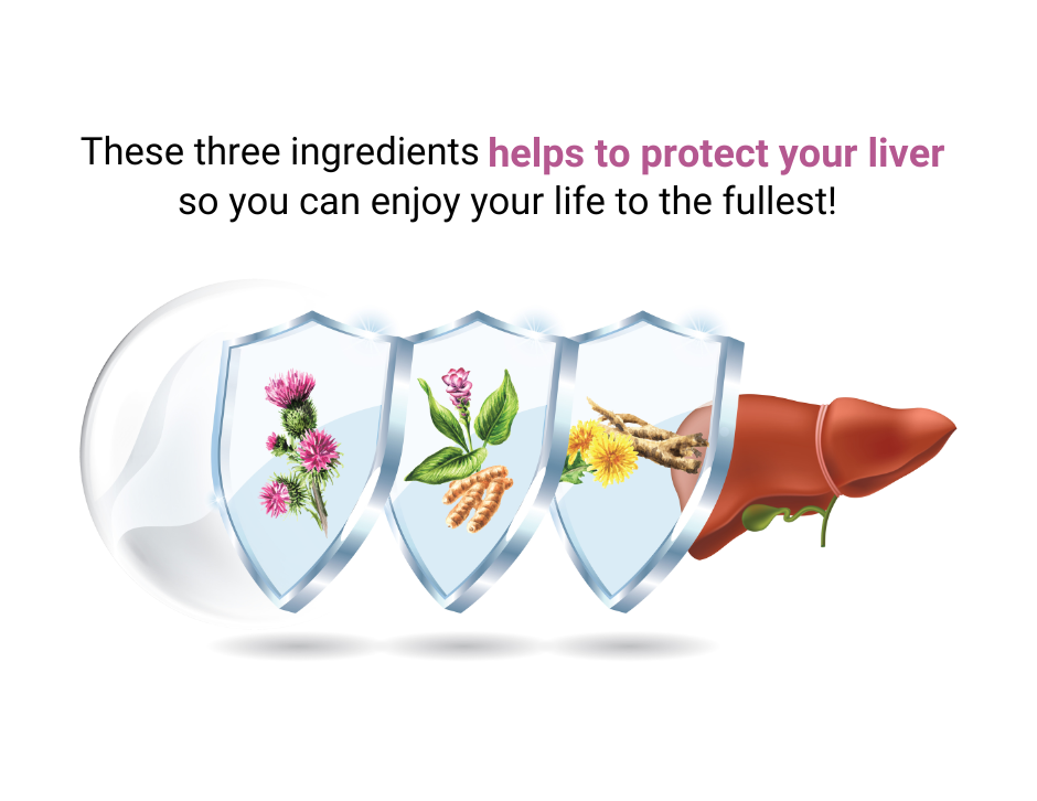 009407263506-liver-landing-page-1-16787843272583.png