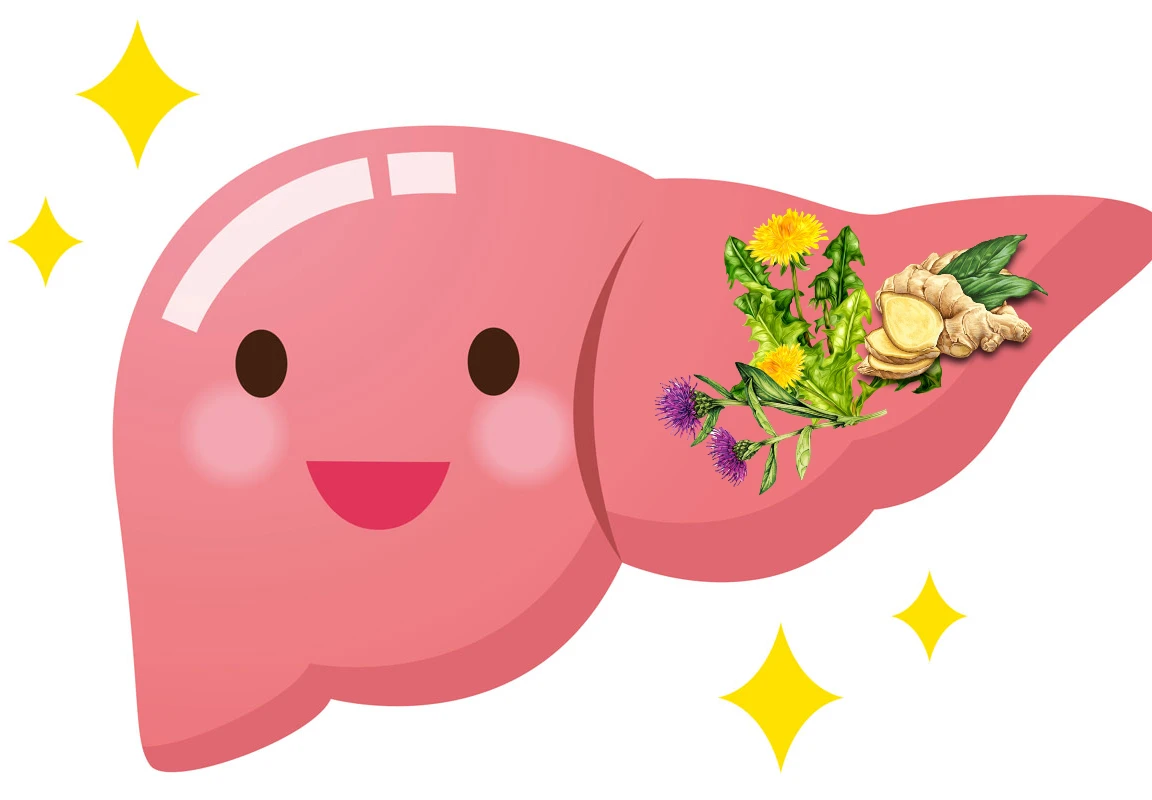 10011528002668-protect-liver-15676708312721.png