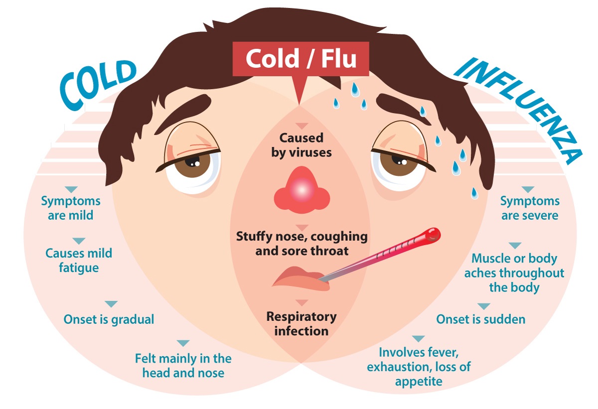 1352-flu-vs-influenza.jpg