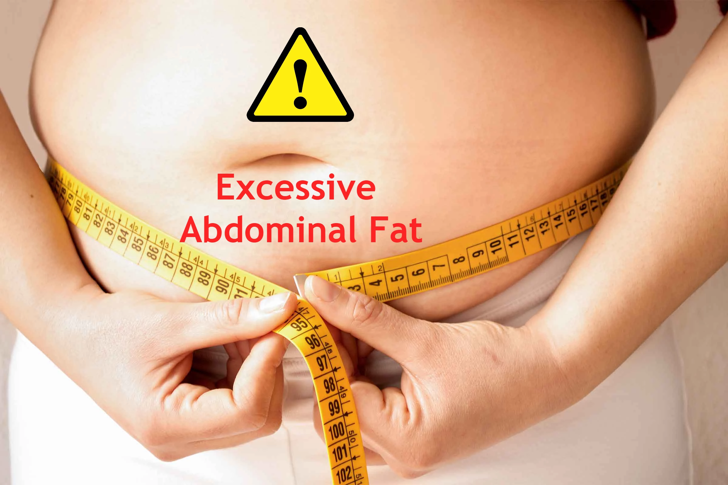 2121-abdominal-fat.png