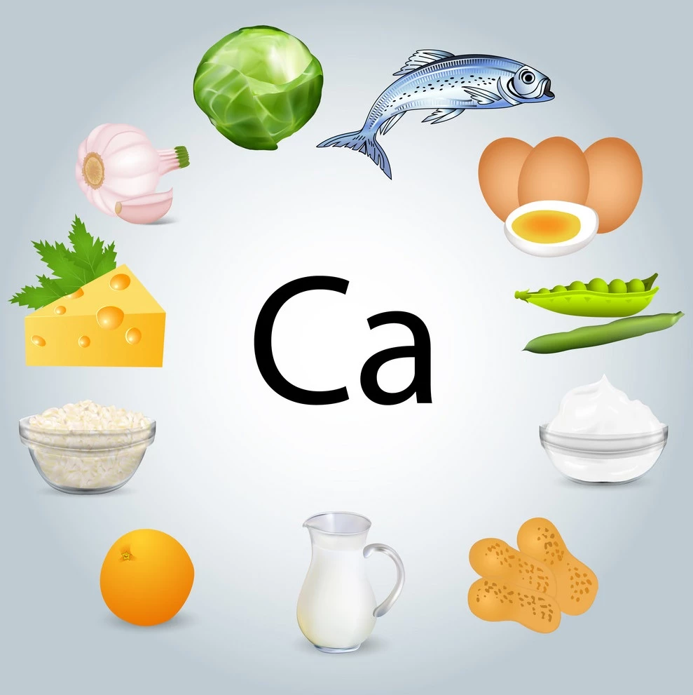 2537-calcium-food.jpg