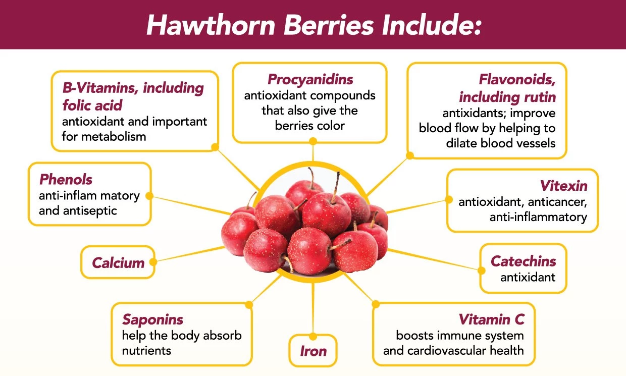 3533-02312407451225-solaray-hawthorn-health-professionalv2faback.jpg