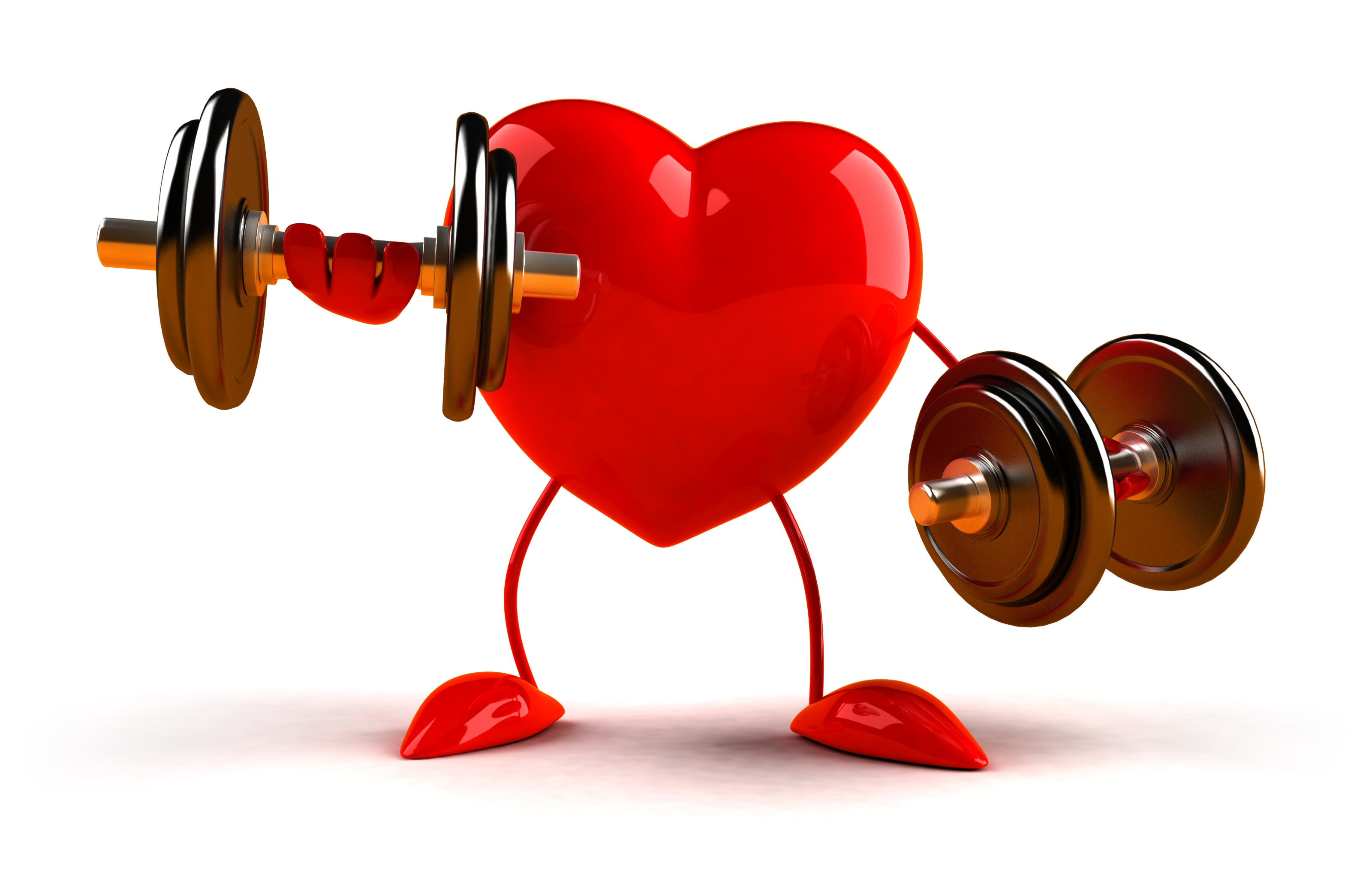 3536-699-heart-muscle.png