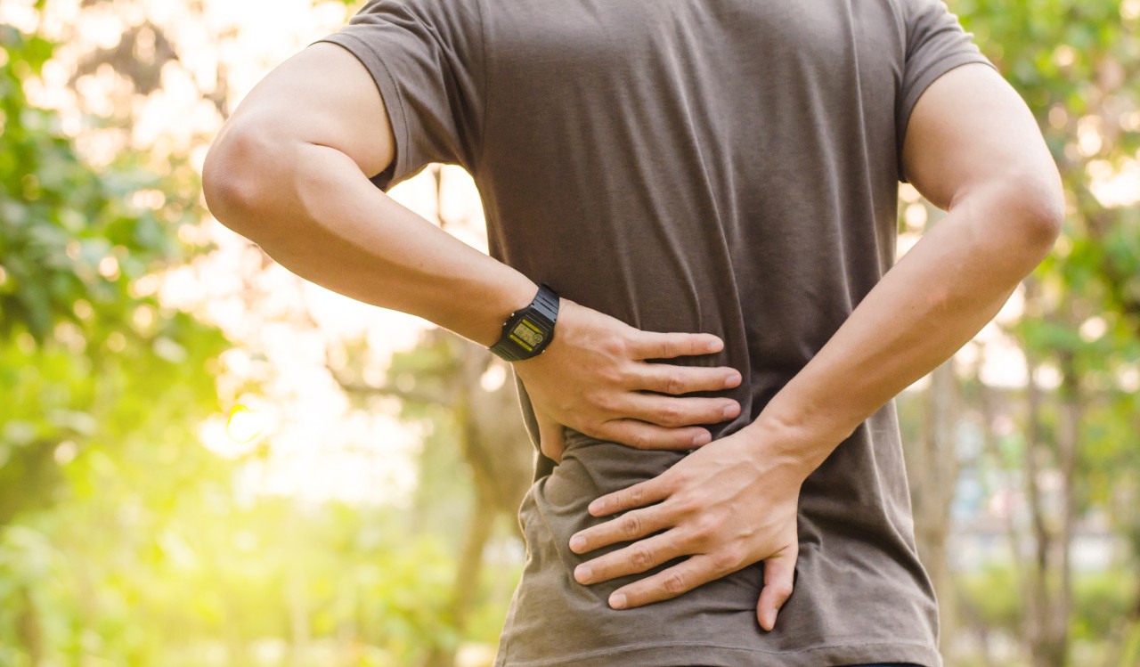 3735-1133-bone-back-pain.jpeg