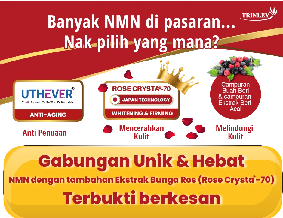 3789-4-17241468881094.png