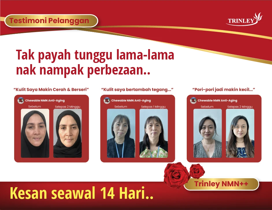 3811-9-17241471064275.png