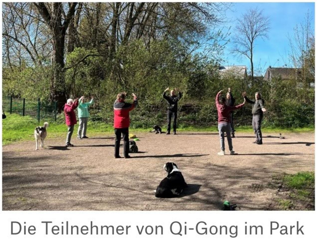 Die Teilnehmer von Qi Gong im Park Menschen stehen im Kreis auf einem Platz im Park und heben die Arme, zwei Hunde liegen auf dem Boden, Bäume und Häuser im Hintergrund.