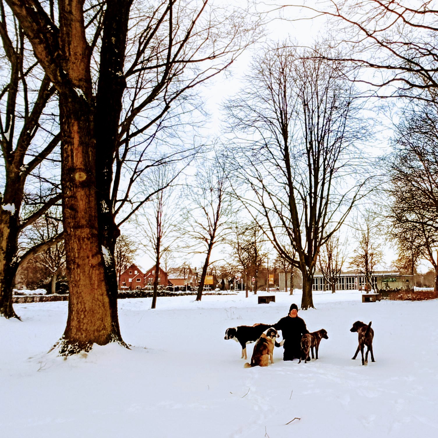 Früher haben wir im Winter draußen praktiziert Harald kniet im Schnee, umgeben von mehreren Hunden, im Hintergrund Bäume und Häuser.