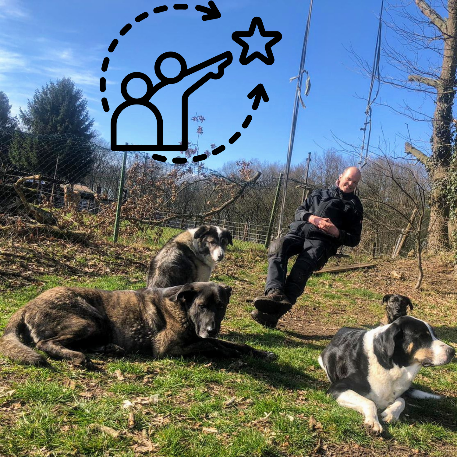Vier Hunde liegen auf einer Wiese, zwei sind braun-schwarz gefleckt, einer schwarz-weiß. Im Hintergrund sitzt eine Harald auf einer Schaukel, umgeben von Bäumen und einem Zaun. Der Himmel ist klar und blau.