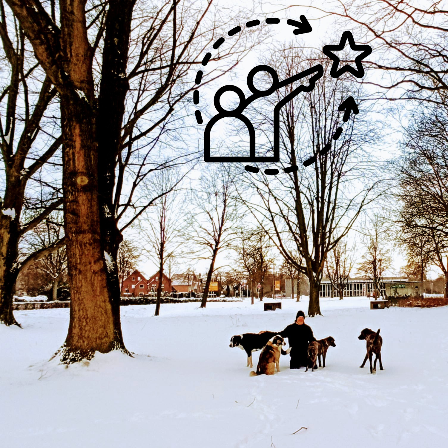 Verschneiter Park mit kahlen Bäumen und Häusern im Hintergrund. Eine Person kniet im Schnee und ist von vier Hunden umgeben. Über der Person und den Hunden ist ein schwarz-weißes Piktogramm mit zwei stilisierten Figuren, einem Stern und Pfeilen, die eine Bewegung zum Stern anzeigen.