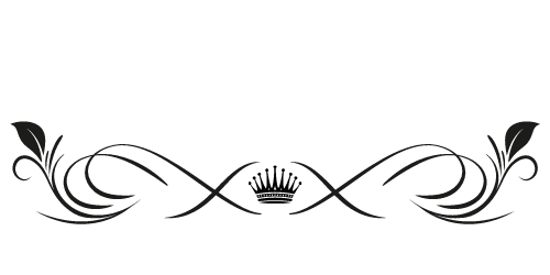 162-copy-of-harmke-buursma-logo-3-500-×-250-px-16510928979882.png