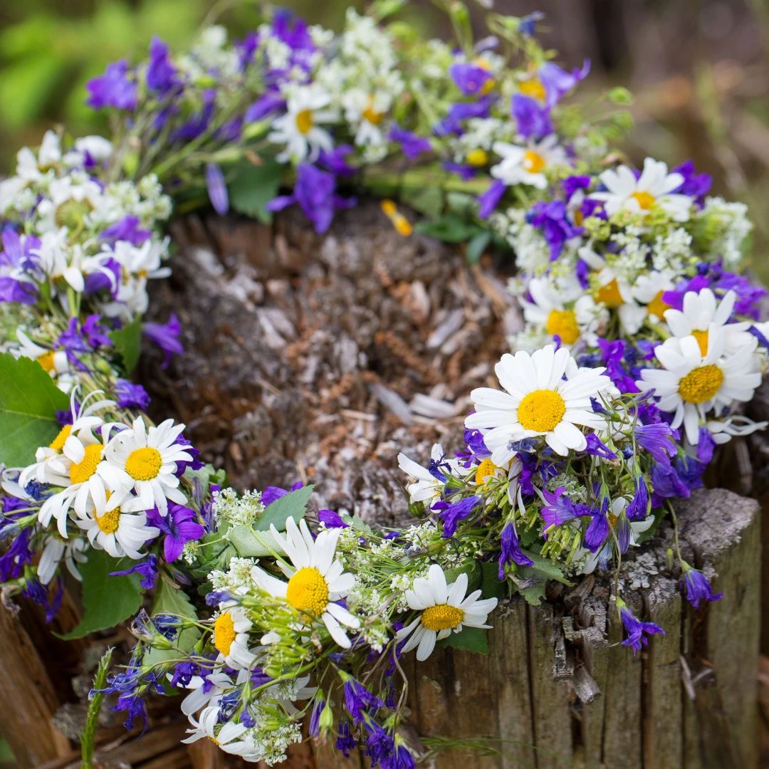🌿🌺 Happy St. John's Day and Midsummer Celebration! 🌺🌿