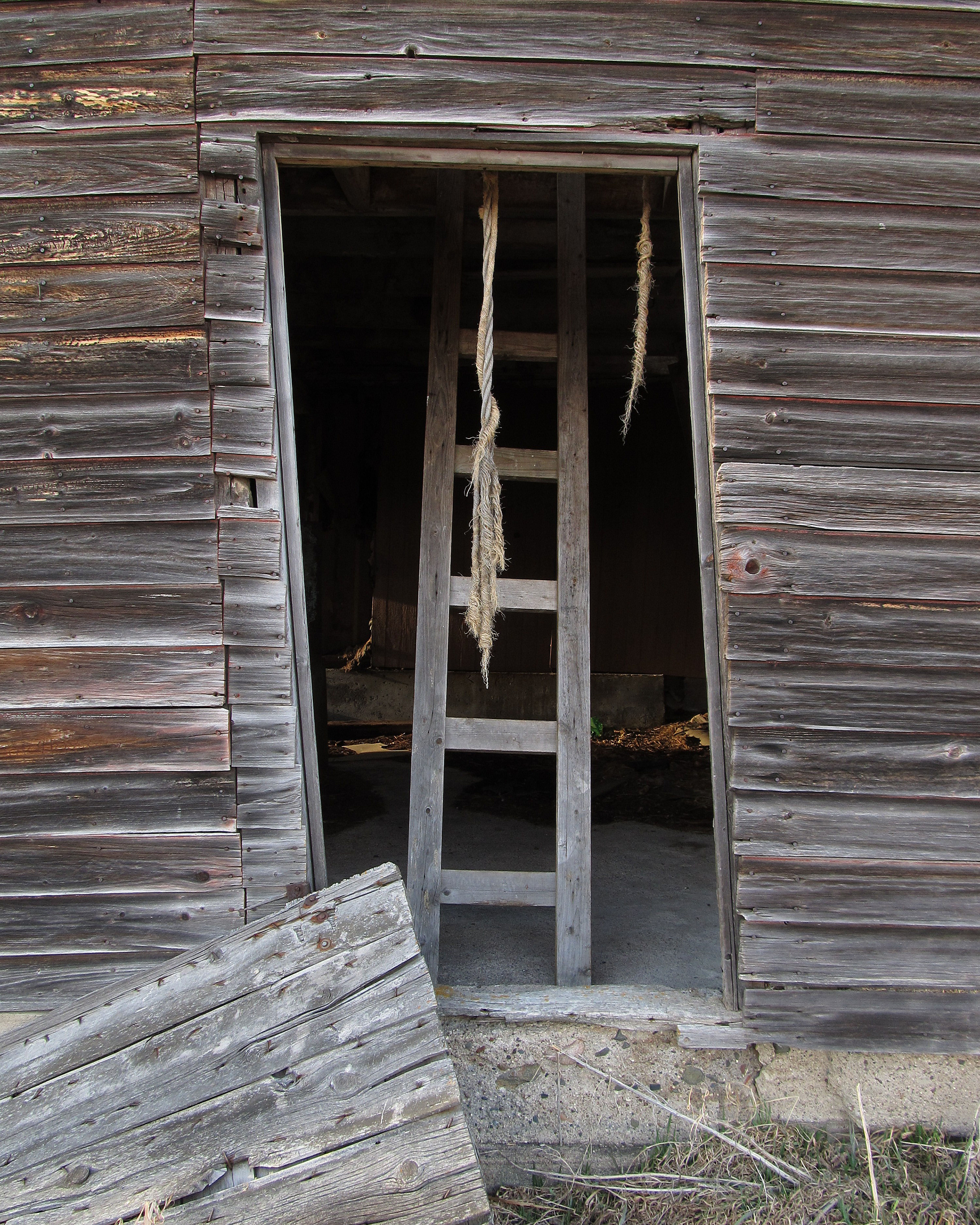 97-barn-ladder-print.jpg