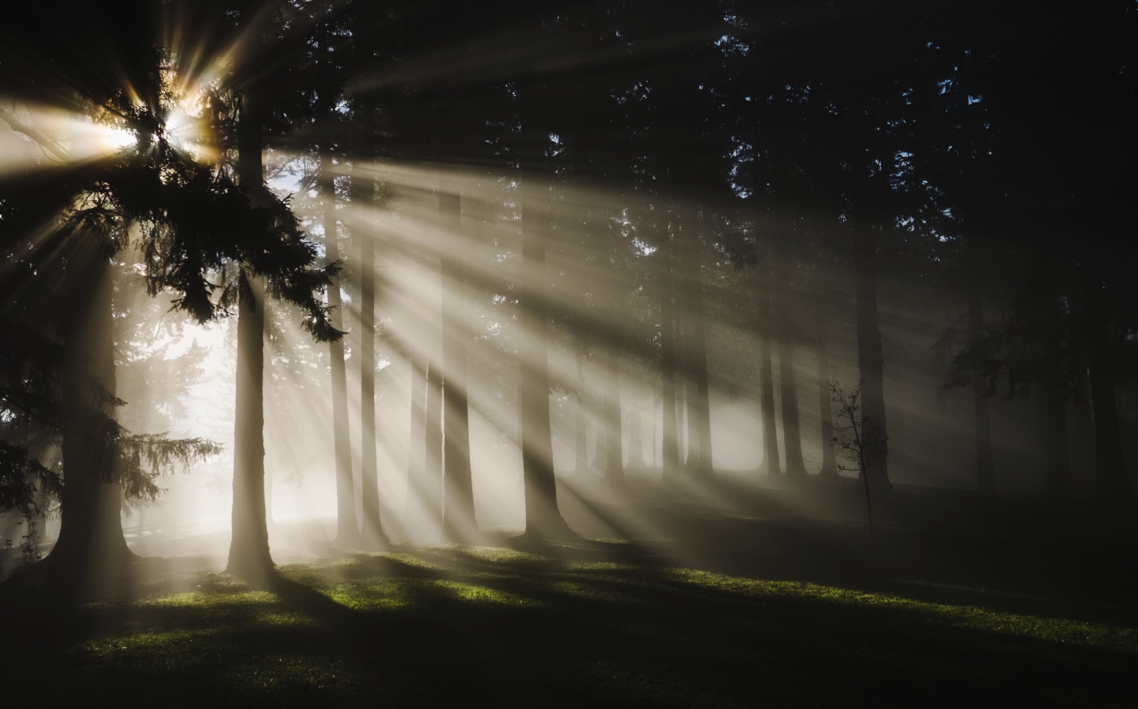 r48-light-in-darkness2-15947318997363.jpg