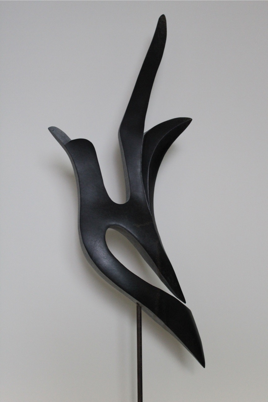 Bird in Flight 474-img3885-large-large.jpeg