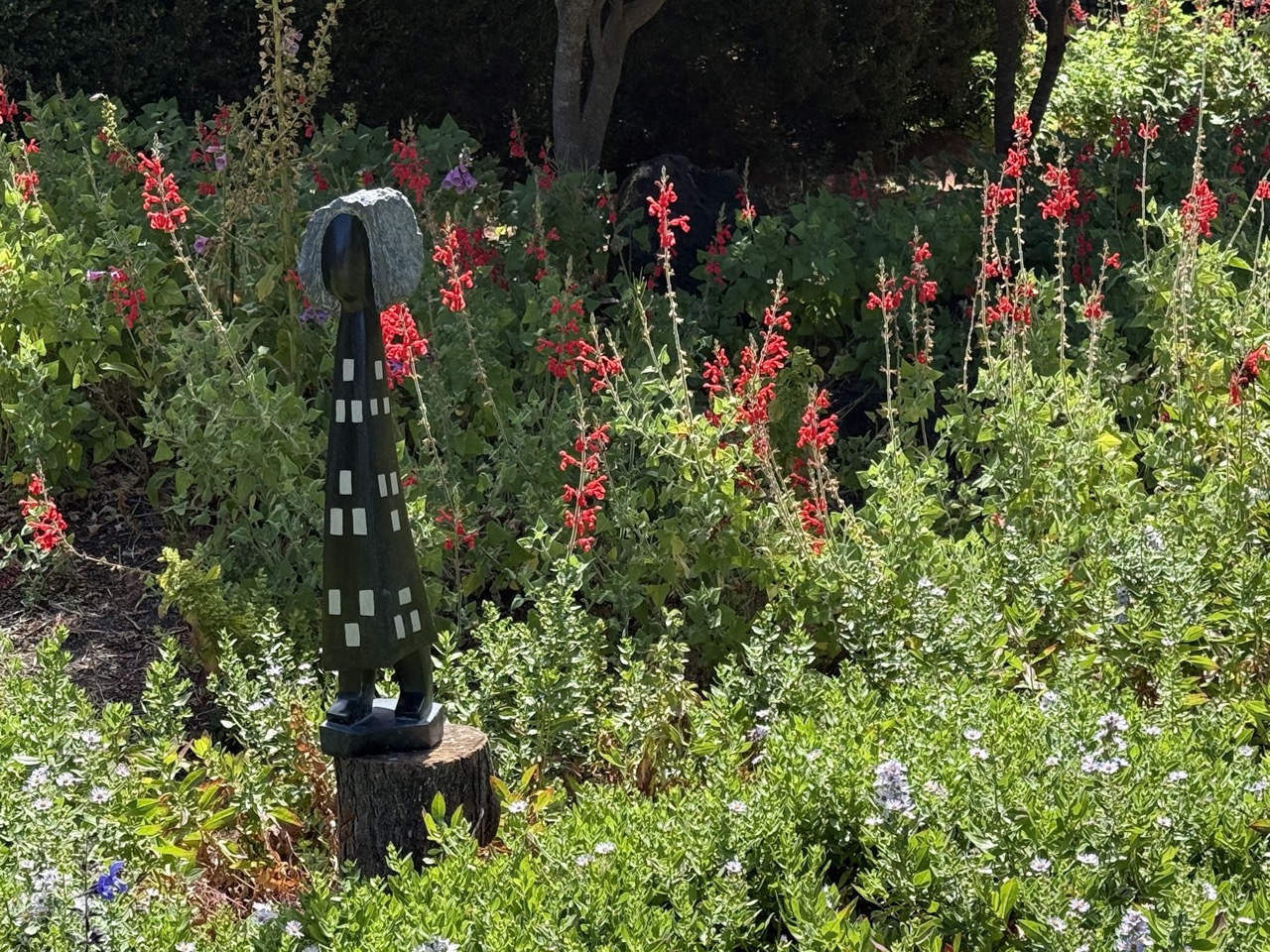 660-img6968-large-17834573093797.jpeg