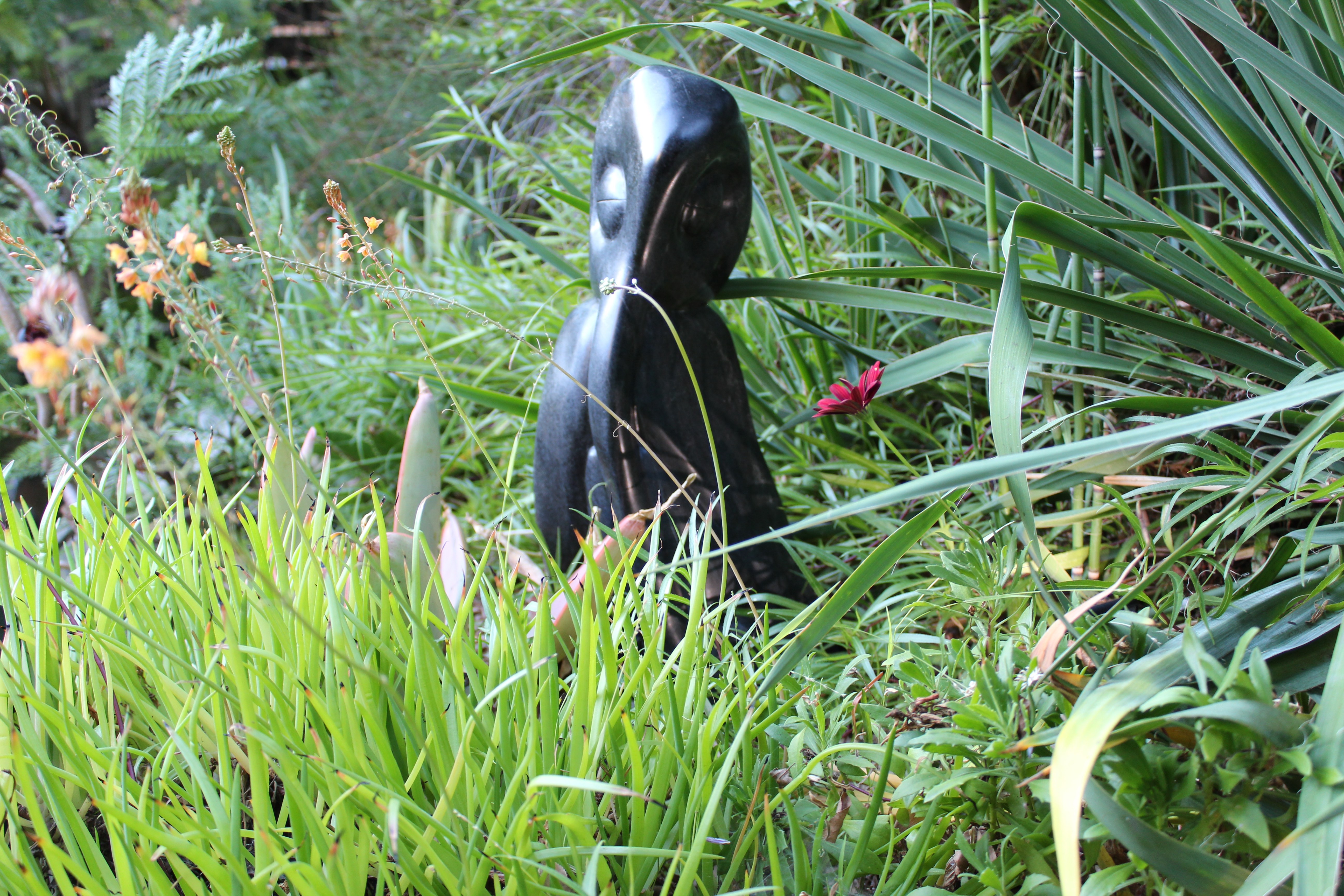 663-fanizani-in-garden-smaller-17791651003456.jpg