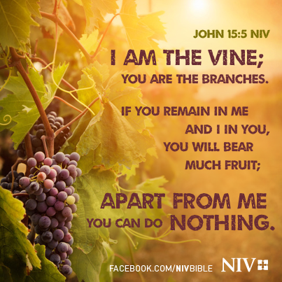 john 15