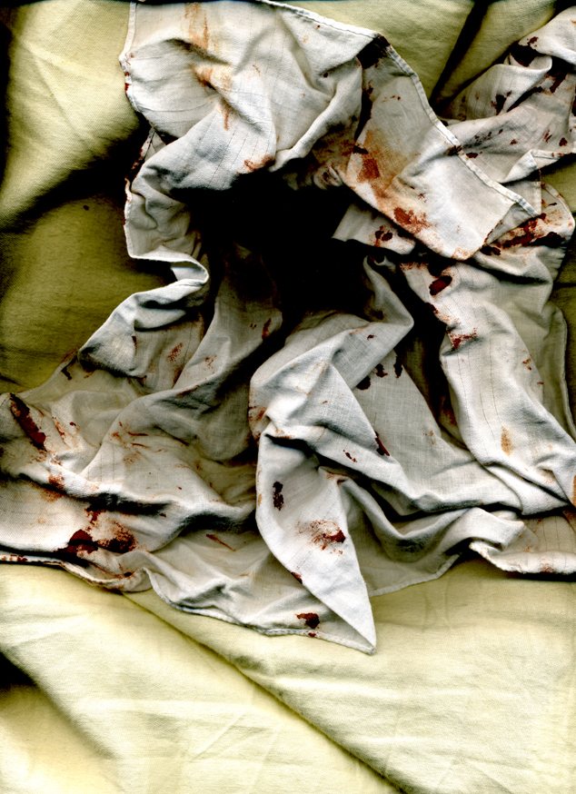 228-04blood-stained-cloth-4found-object2004.jpg