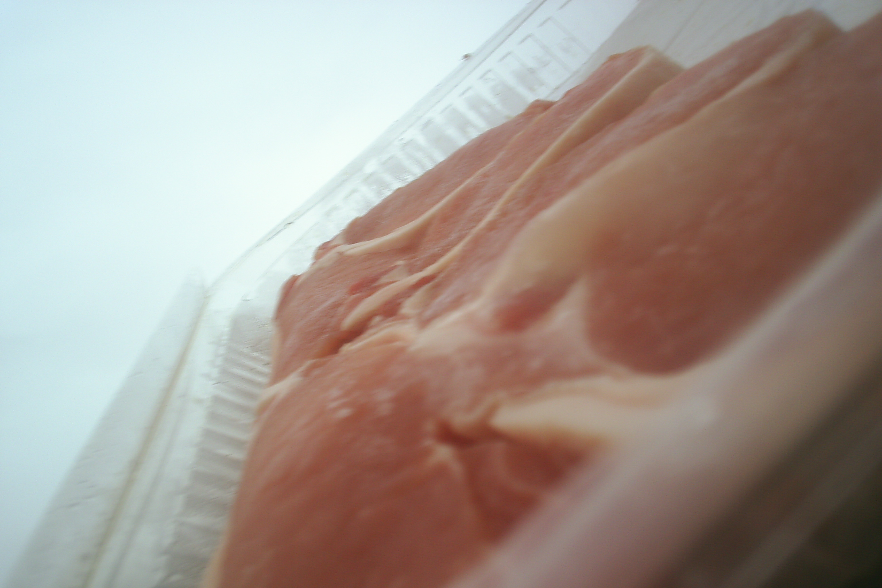 Meat & Meat Packaging 10 - Pork Chops