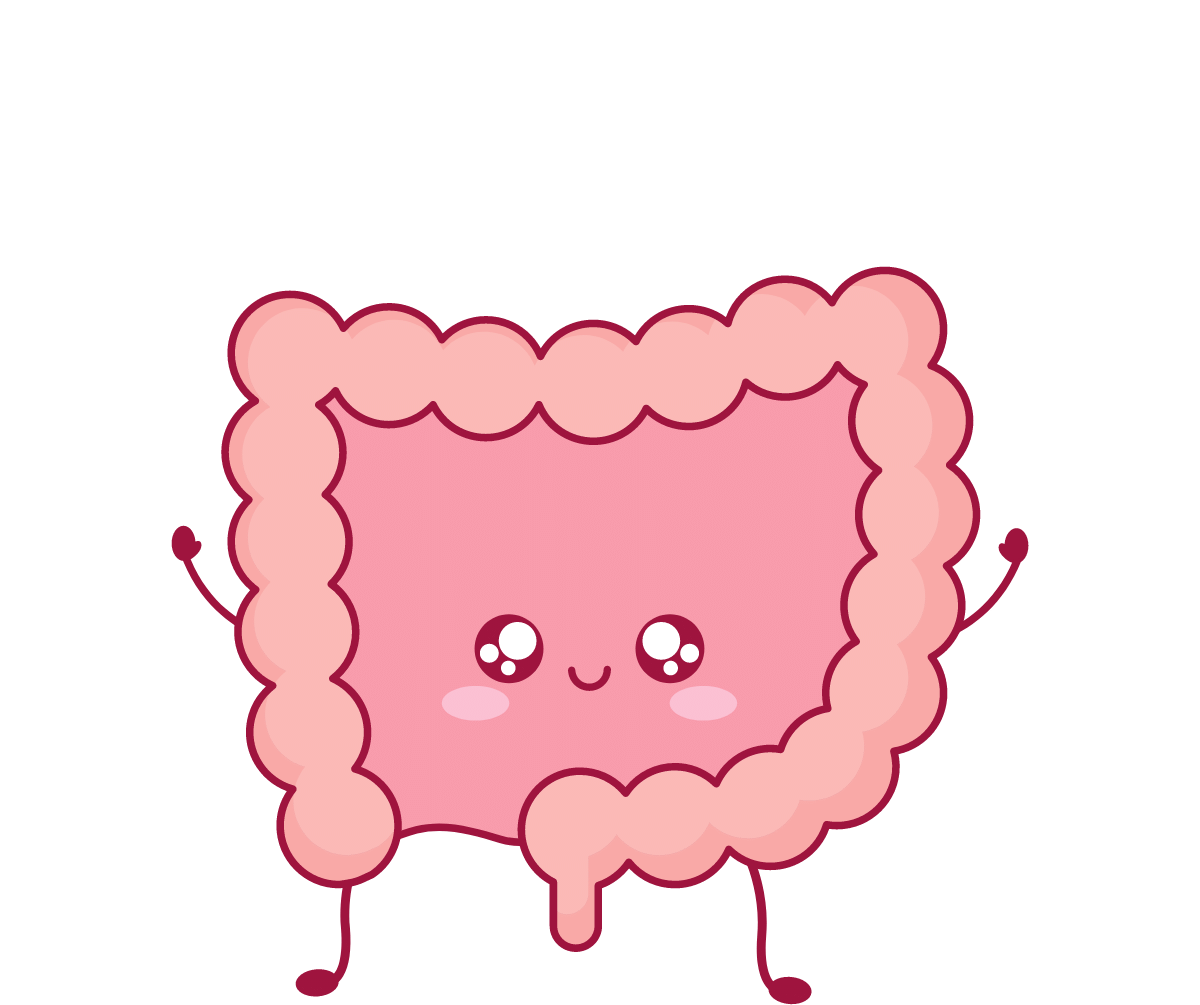 3029-bowel.png