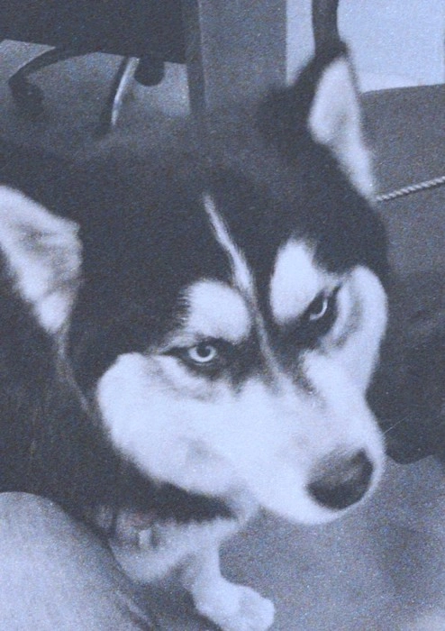 028494700511-pablojpg-16961949695049.jpg