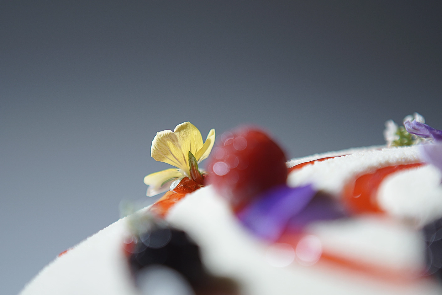 2343-jacinth-chef---modern-cheesecake-2-iglu-studio-1752822877868.png