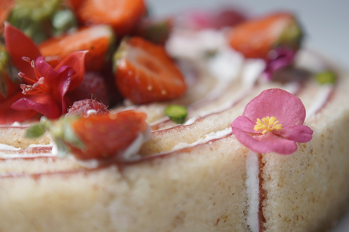 2349-jacinth-chef---fraisier-roulette-2-iglu-studio-17528237817258.png