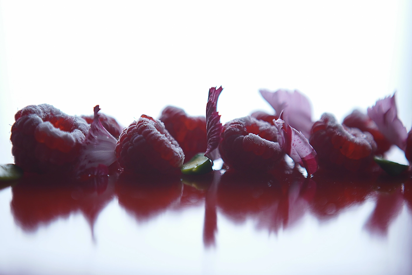 2353-jacinth-chef---la-passionata-2-iglu-studio-17528244642966.png