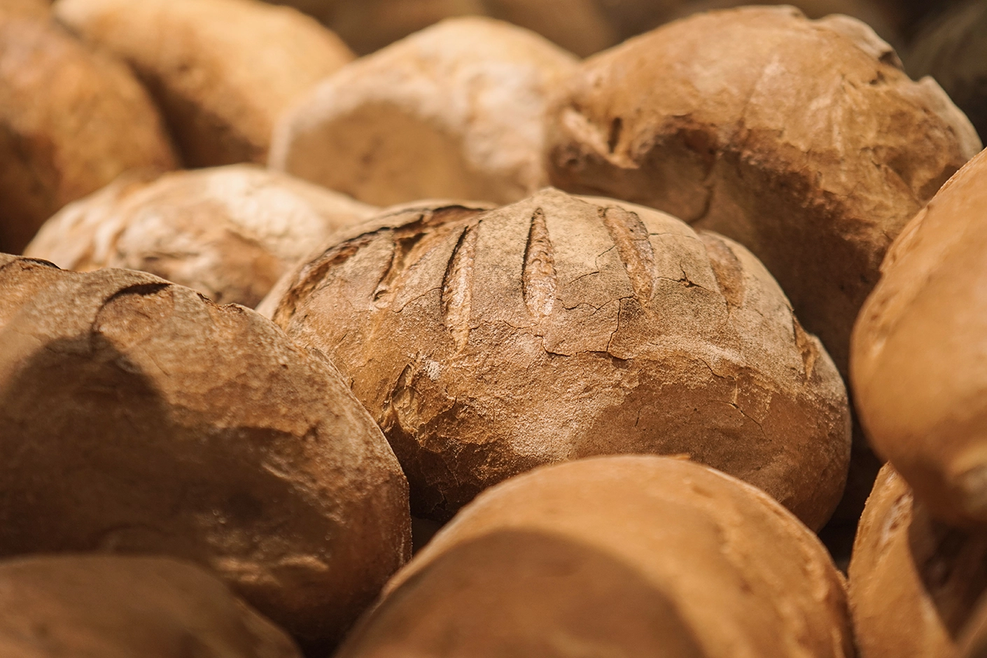 2380-roostar-cafe-bakery---common-photo-2-iglu-studio-17528287217517.png