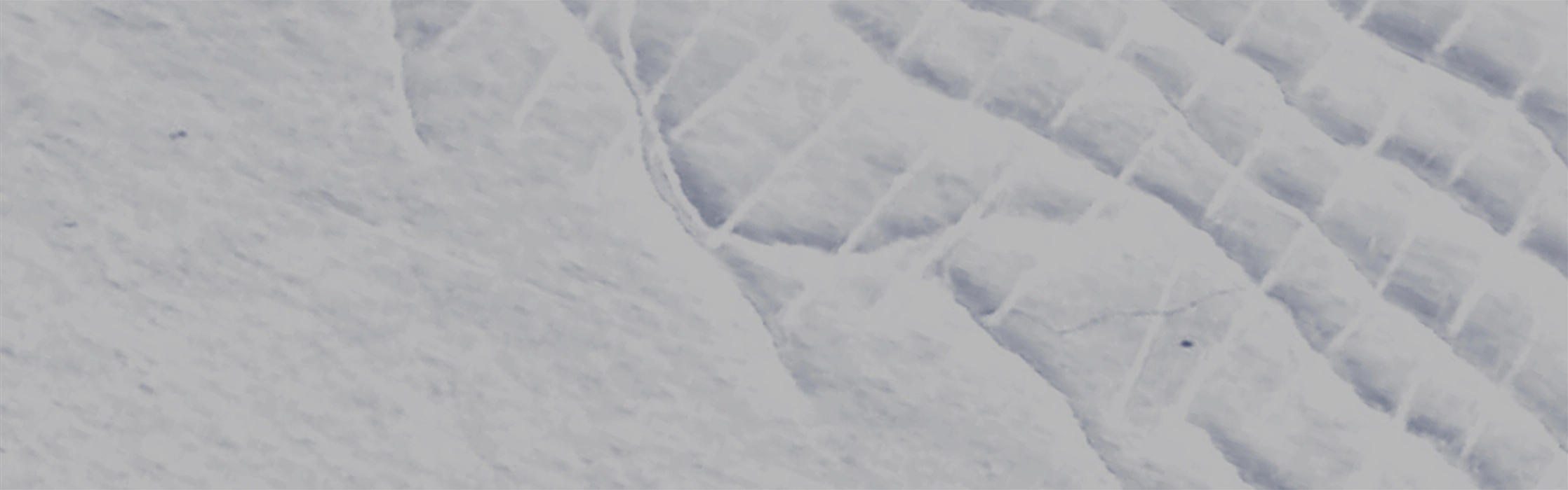 2615-eliane---texture-1-iglu-studio-17529149776408.png