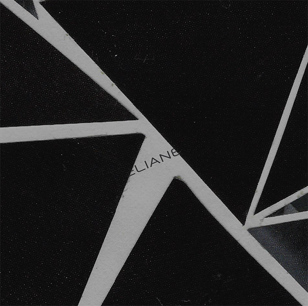 2632-eliane---logo-in-texture-2-iglu-studio-17529155380393.png