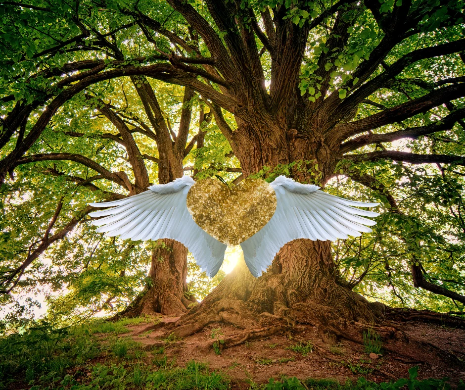 Divine Healing