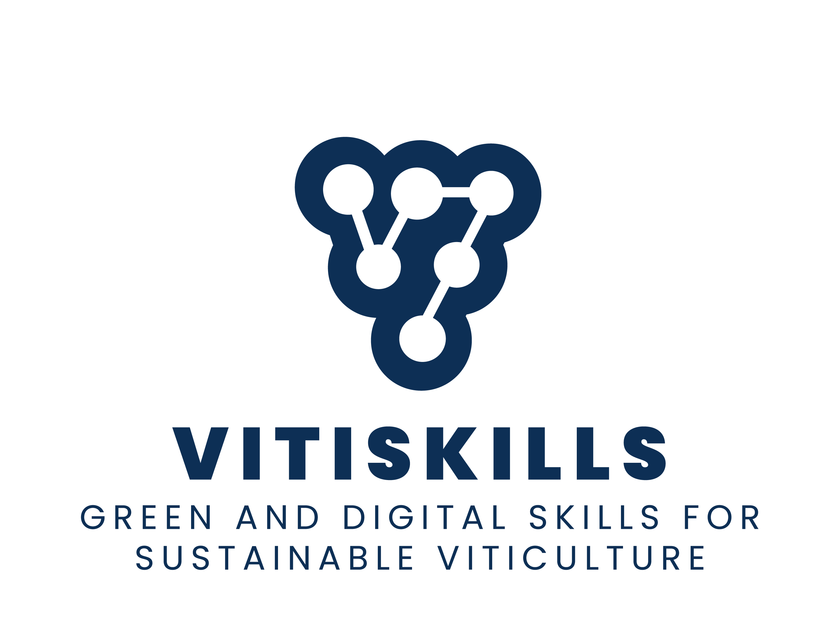 Vitiskills 148-vitiskillsblue-full-17398959333727.png